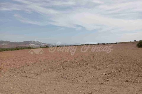 Finca i Yecla, Murcia, Yecla - € 350.000 | Ref: SF0507 - foto 32